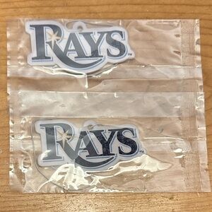Brand New Tampa Bay Rays Car Mirror Hanging Accessory
